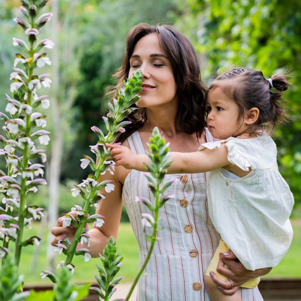 RQ_HEALTHY_PLANTS RQ_HEALTHY_PLANTS