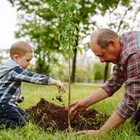 RQ_Planting RQ_Planting