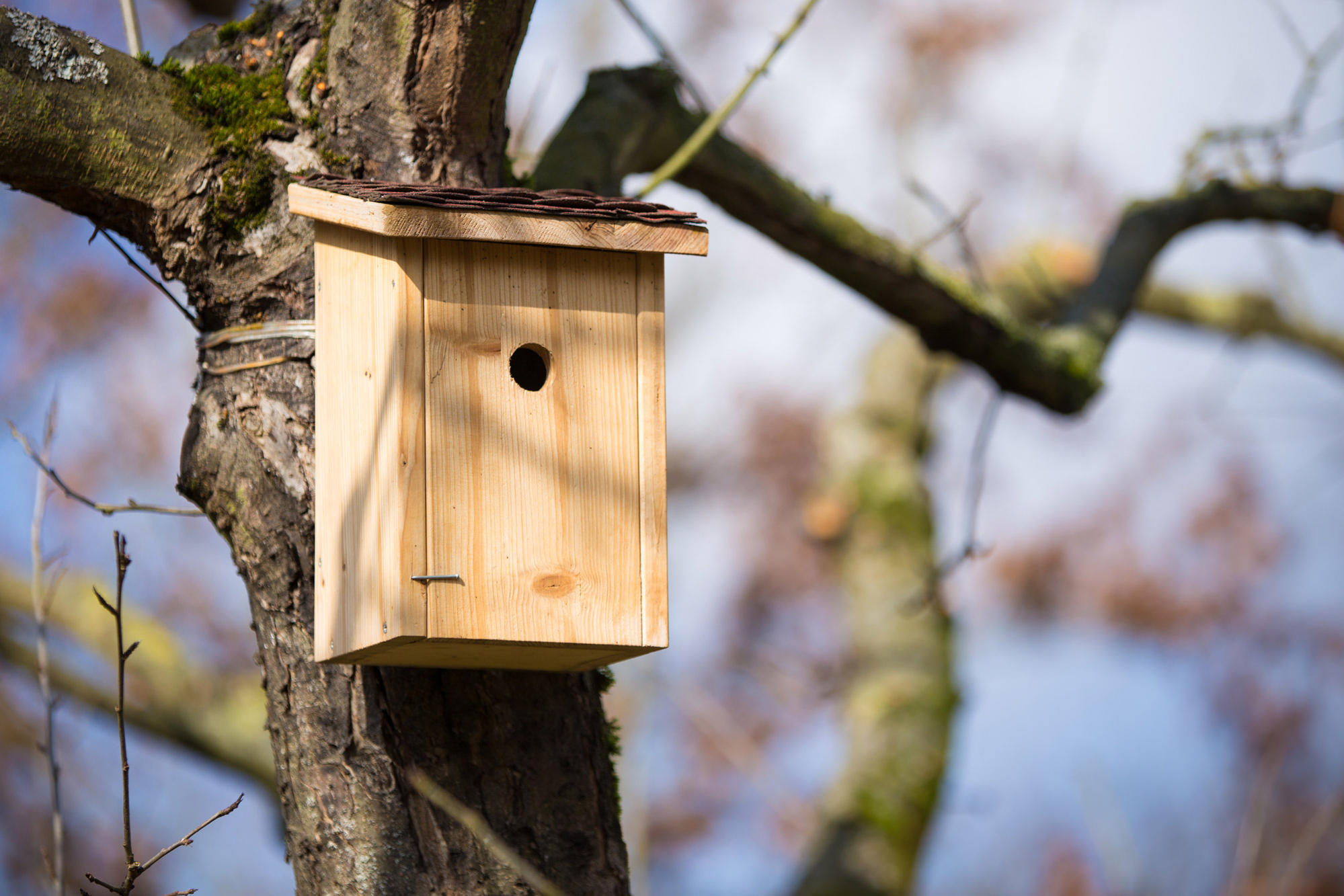 fuglehus fuglekasse få flere fugle i haven fuglehus fuglekasse få flere fugle i haven