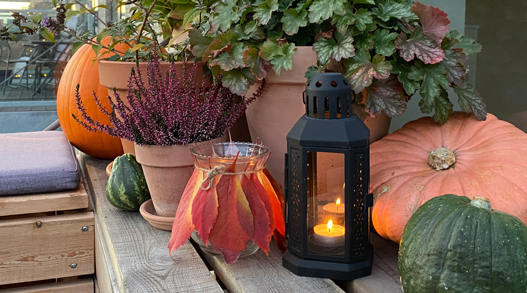 haven i oktober haven i oktober