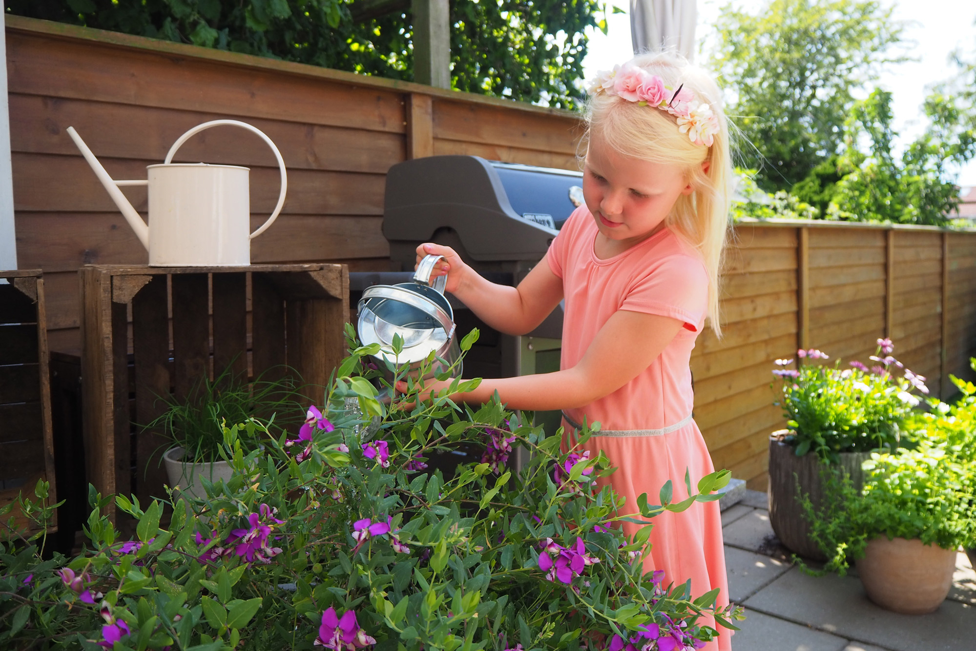 vand-dine-planter-rigtigt vand-dine-planter-rigtigt