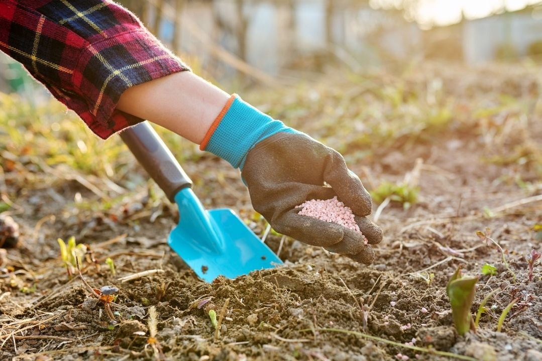 Bodem moestuin verbeteren Bodem moestuin verbeteren