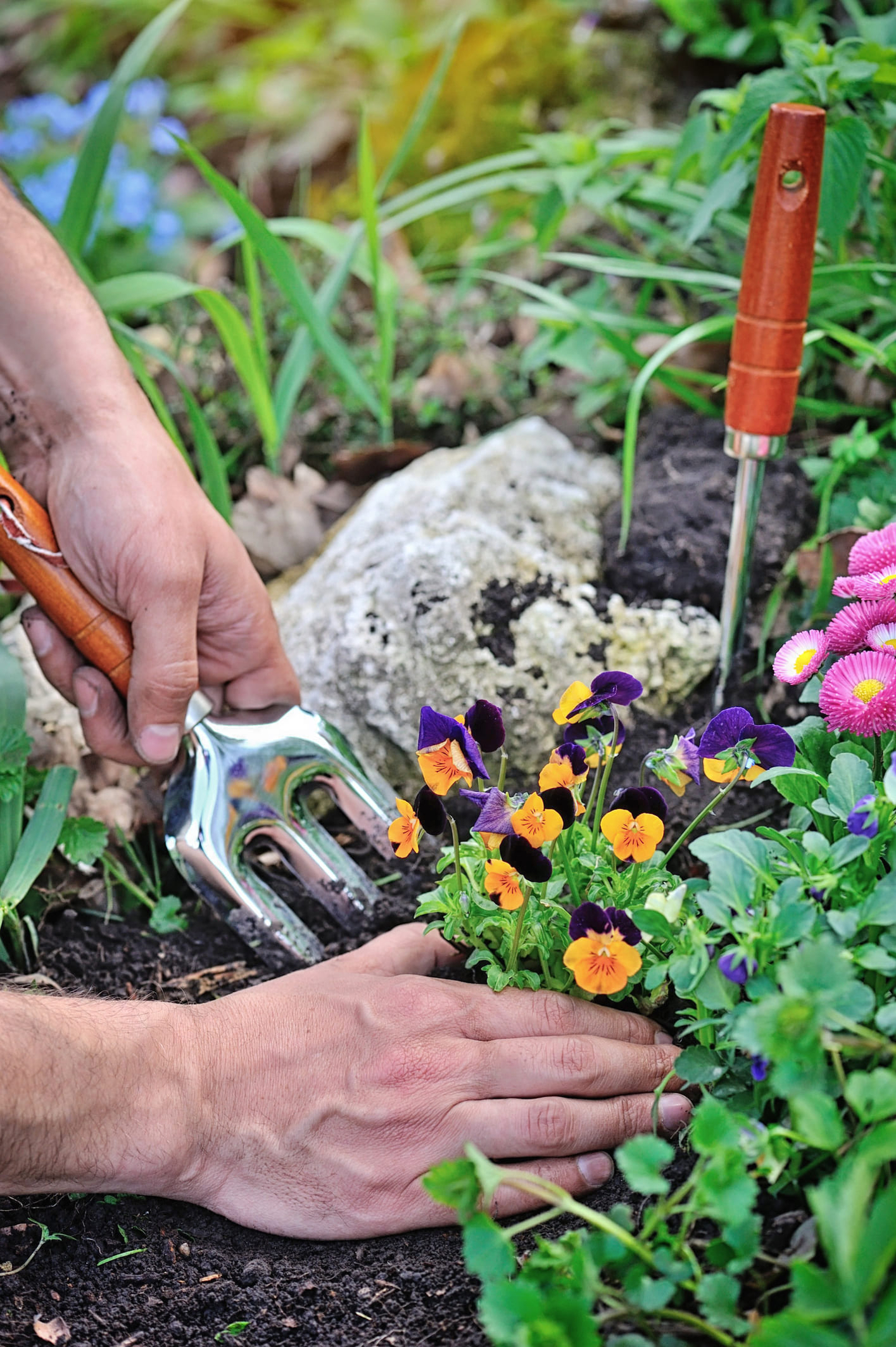 gardeners-hands-planting-flowers-1080 gardeners-hands-planting-flowers-1080