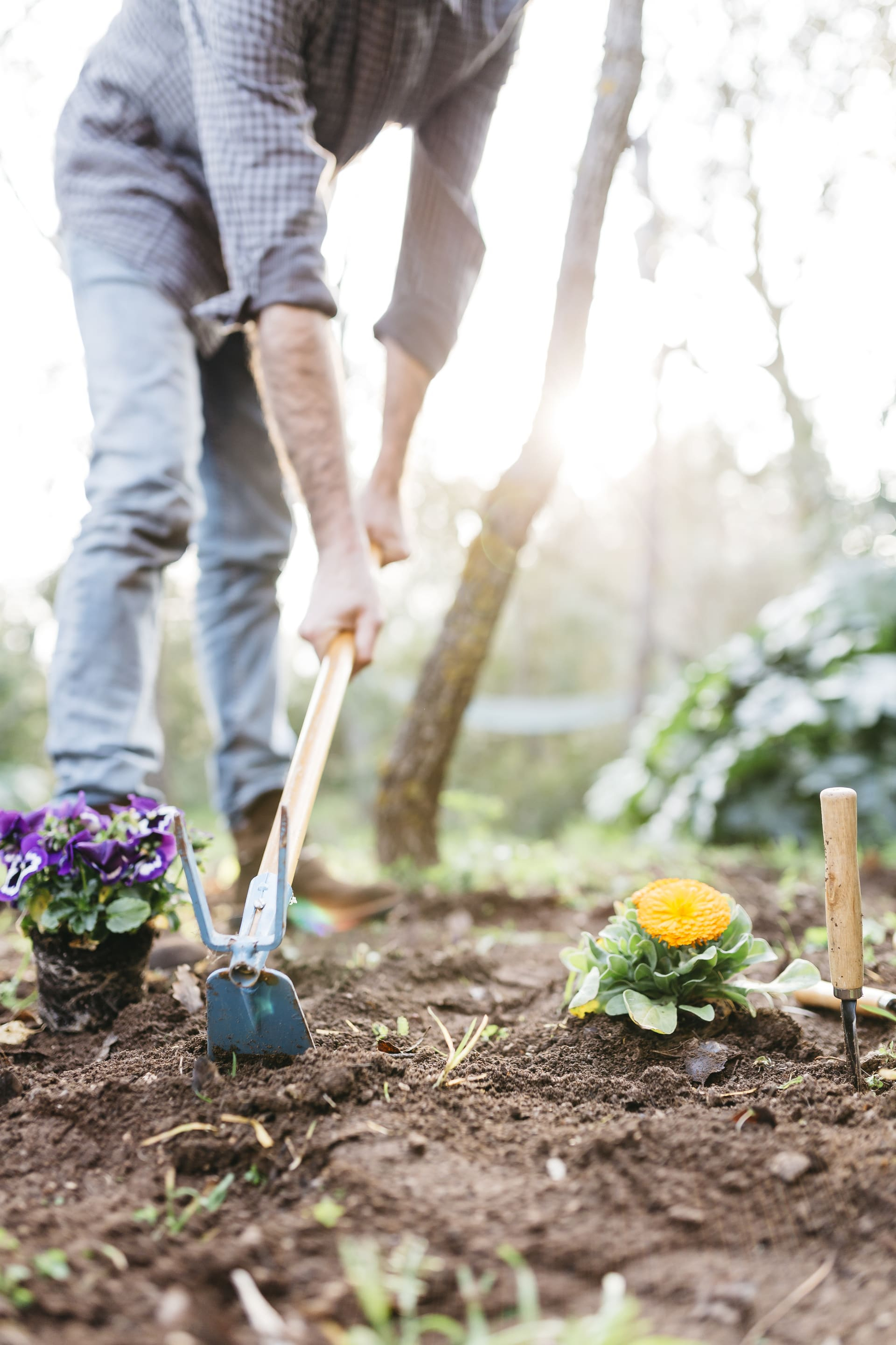man-planting-flowers-1080 man-planting-flowers-1080