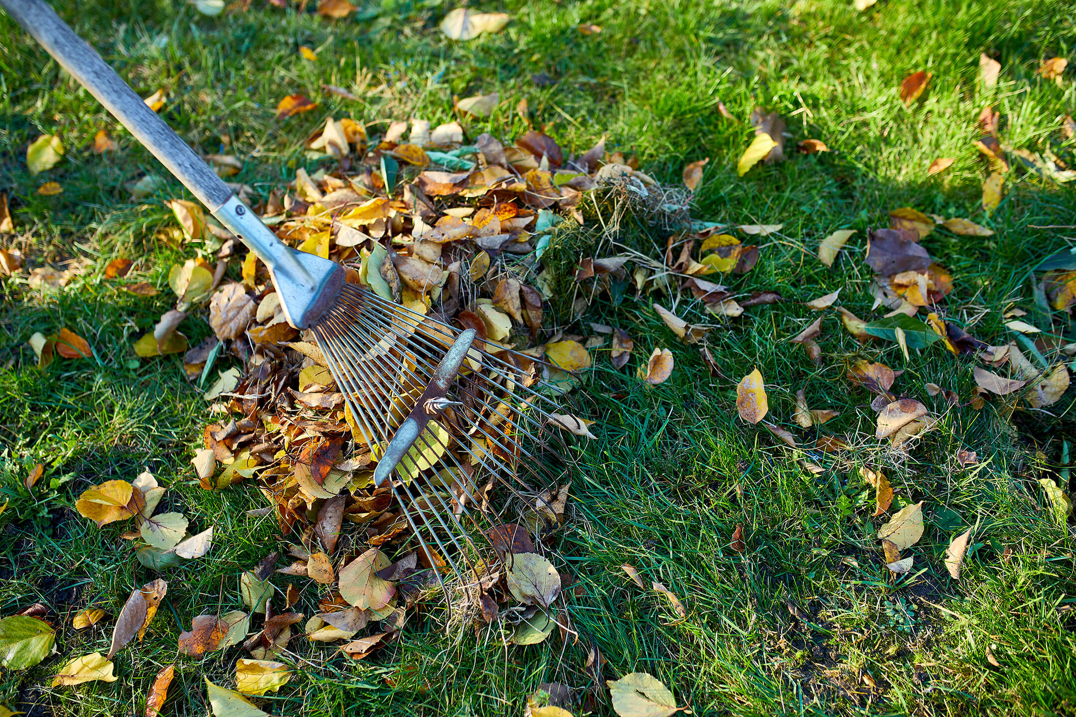 te doen tuin maart te doen tuin maart