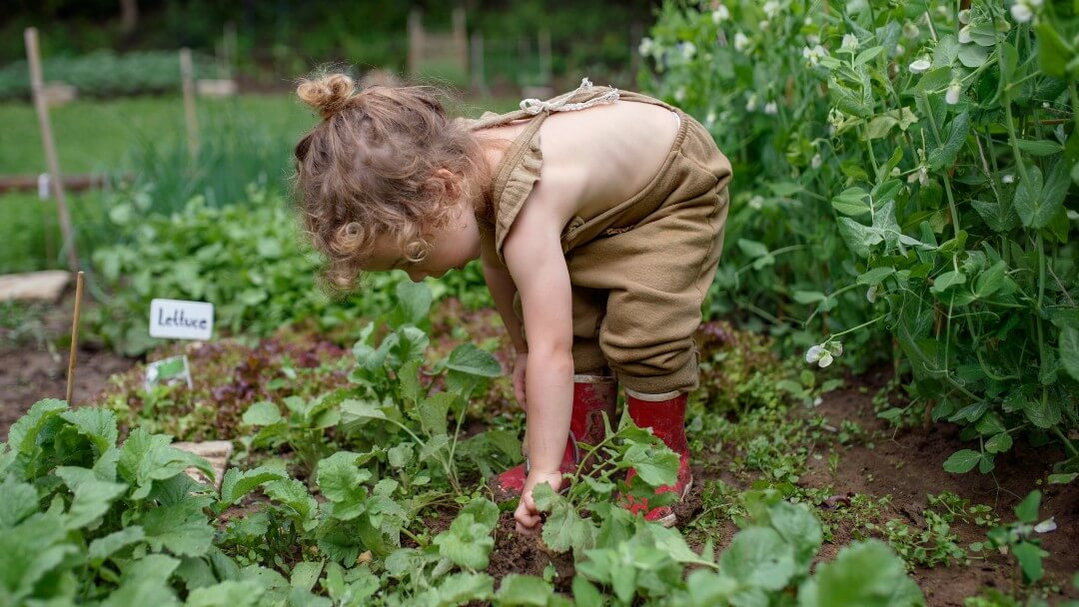Meisje in de moestuin Meisje in de moestuin
