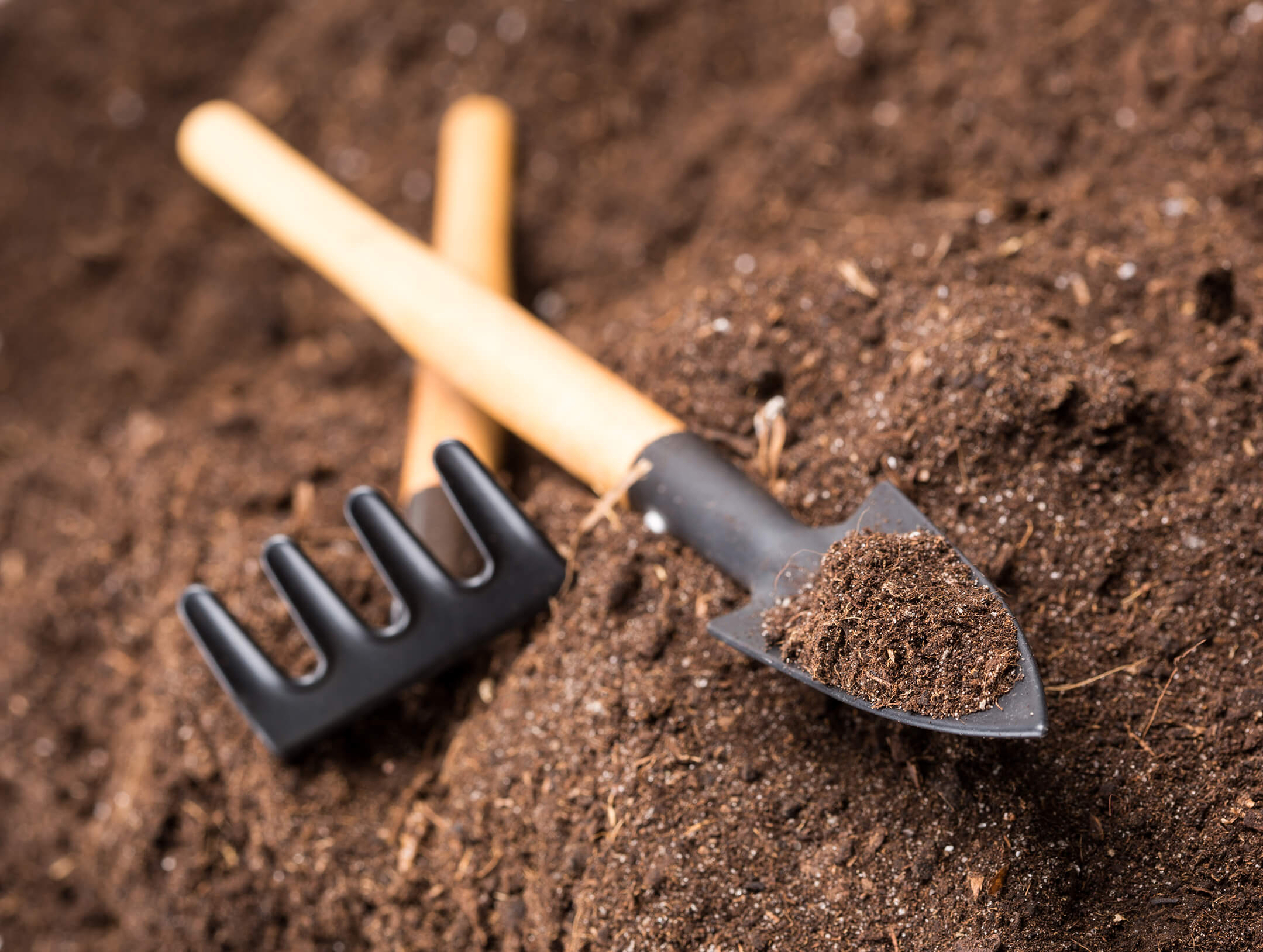 soil-with-gardeningtools-1080px soil-with-gardeningtools-1080px