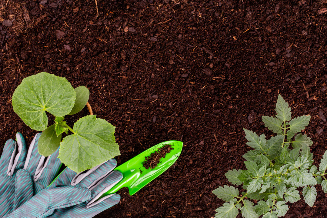 moestuin bemesten