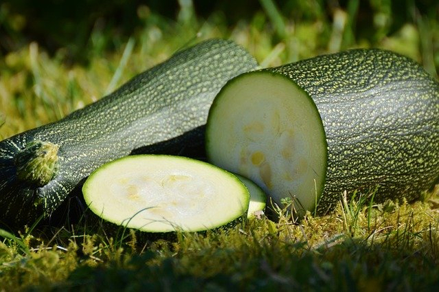 courgette courgette