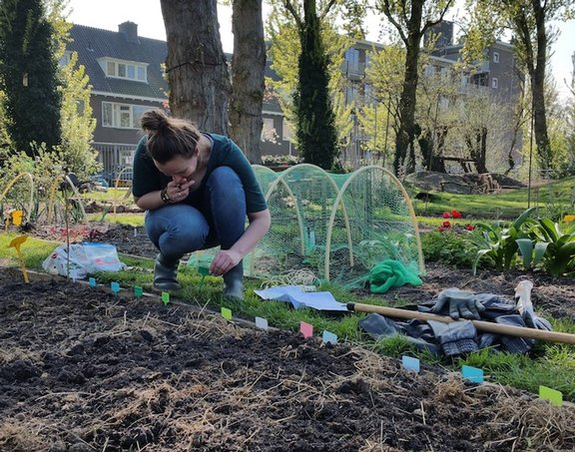 moestuin plan moestuin plan
