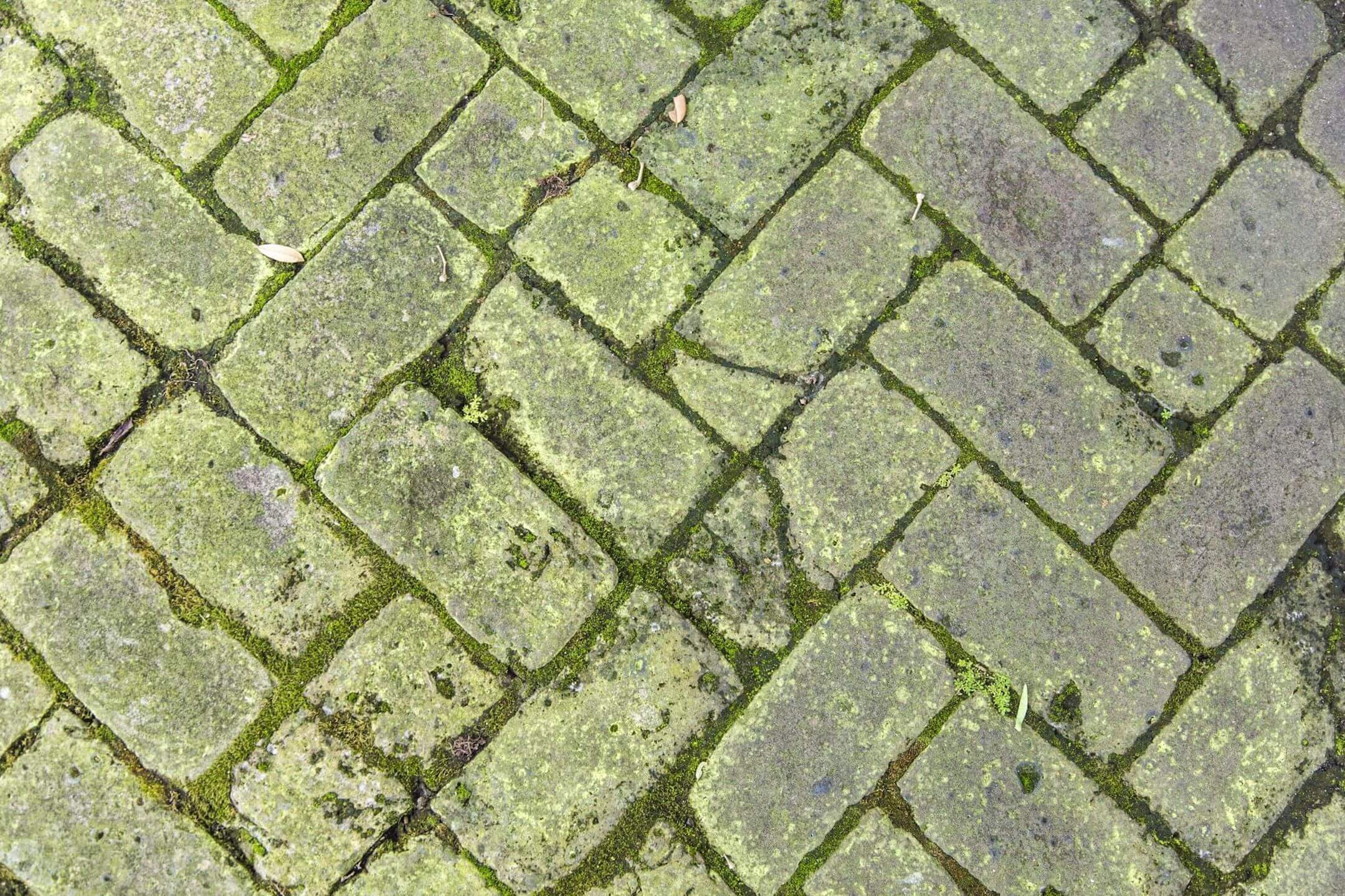 Groene aanslag Groene aanslag