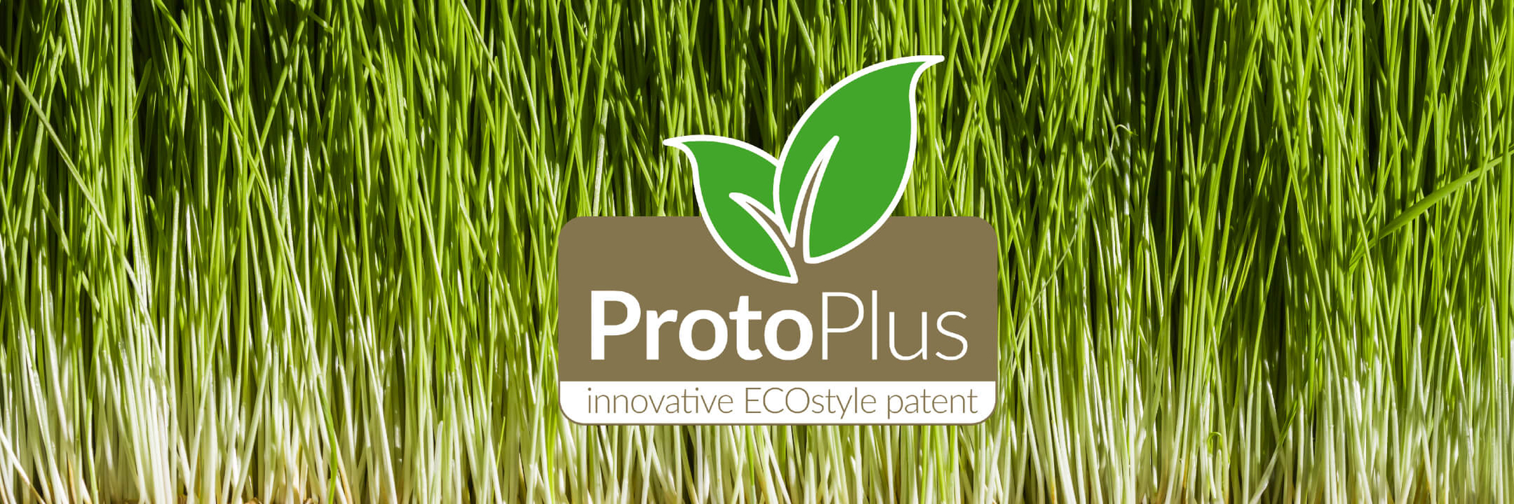 protoplus ecostyle logo protoplus ecostyle logo
