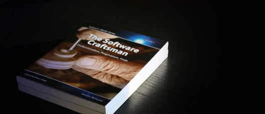 The software craftsman