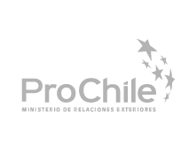 logo-Prochile