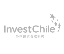 logo-investchile-chino