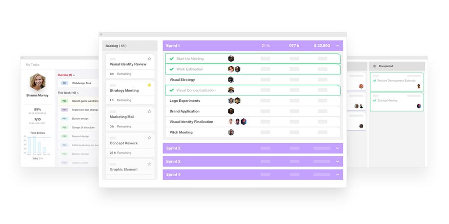 agile project management