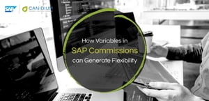 How Variables in SAP Commissions can Generate Flexibility