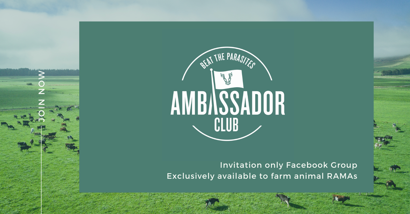 Ambassador Club Promo video V4 (2)