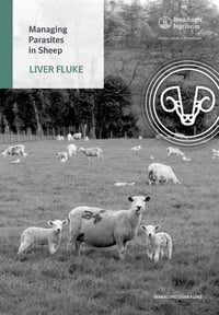 Sheep liver fluke front page