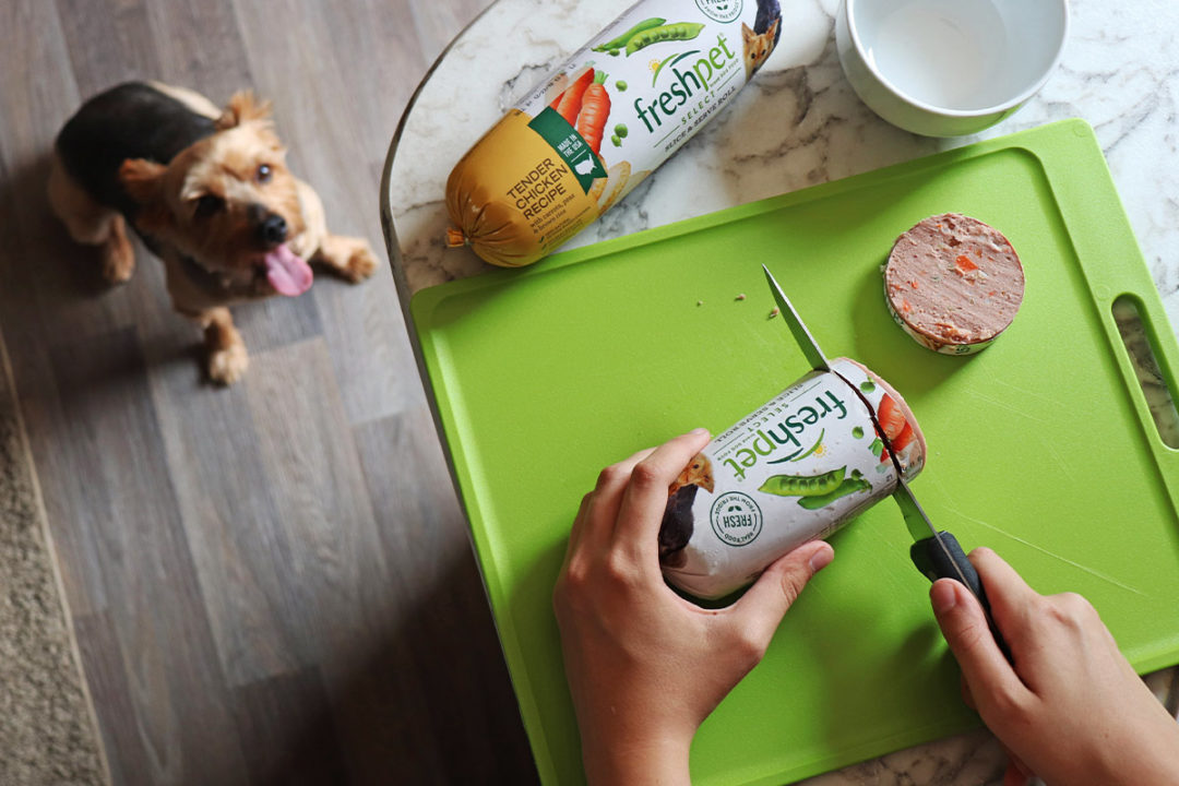 The dog is waiting for dinner as a person cuts Freshpet brand meat with a knife on a light green cutting board