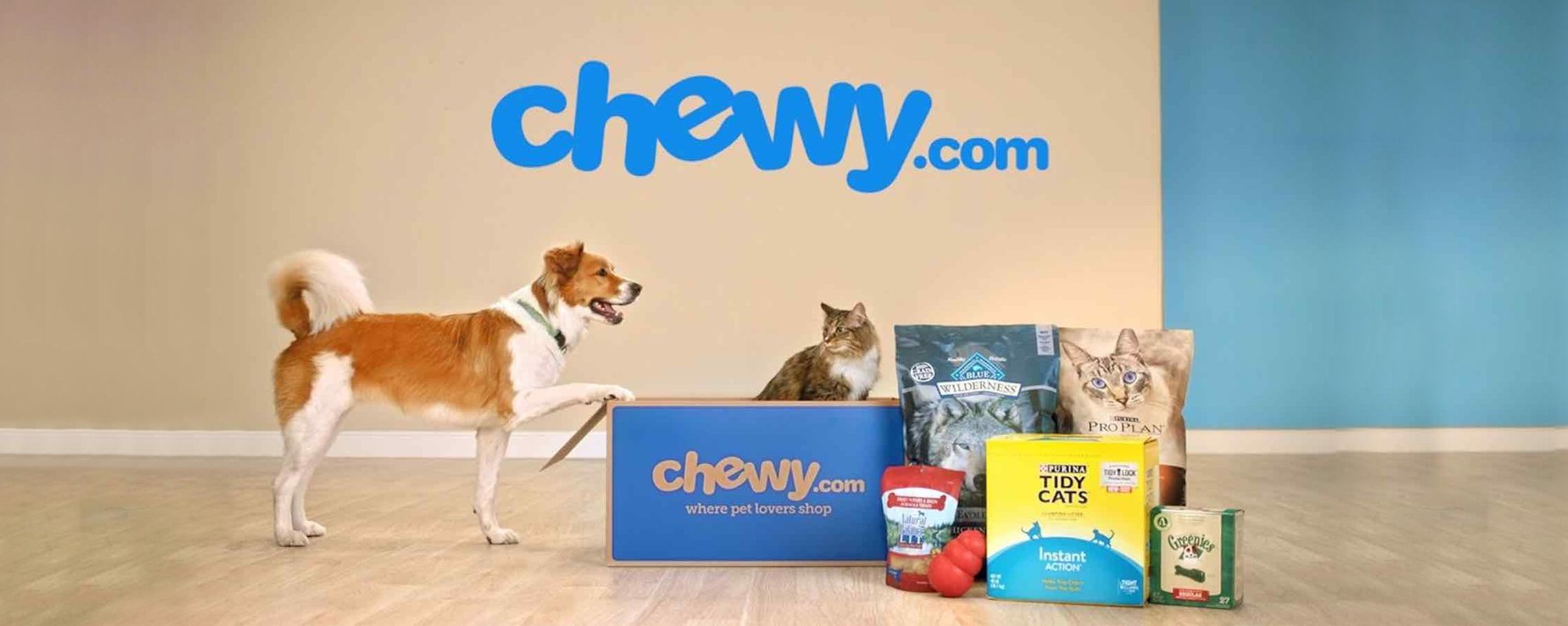 There are numerous packages of cat and dog food on the floor, a cat is sitting in the box with CHEWY.COM logo on it, while the dog stands beside it