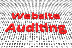 Website Audits in 2022: SEO Insights