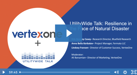 A preview of the webinar recording for UtilityWide Talk: Resilience in the Face of Natural Disasters
