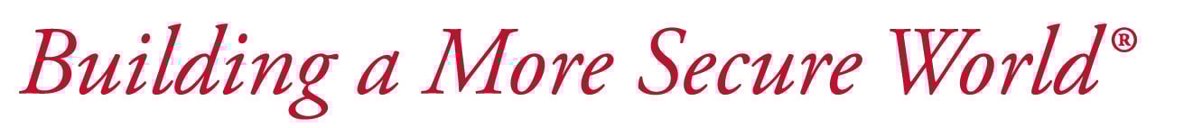 building a more secure world logo