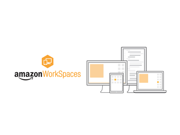 AWS WorkSpaces (Virtual Desktops); A simple technical support solution for a locked down workforce