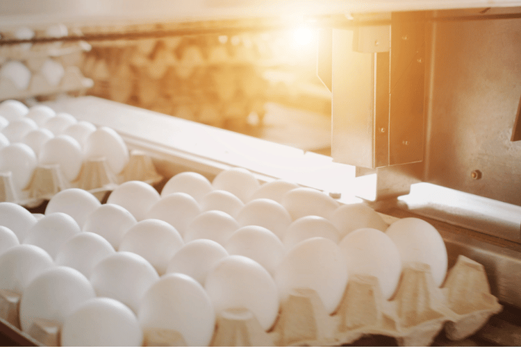 Introducing our Food & Beverage Lighting E-Book featured image