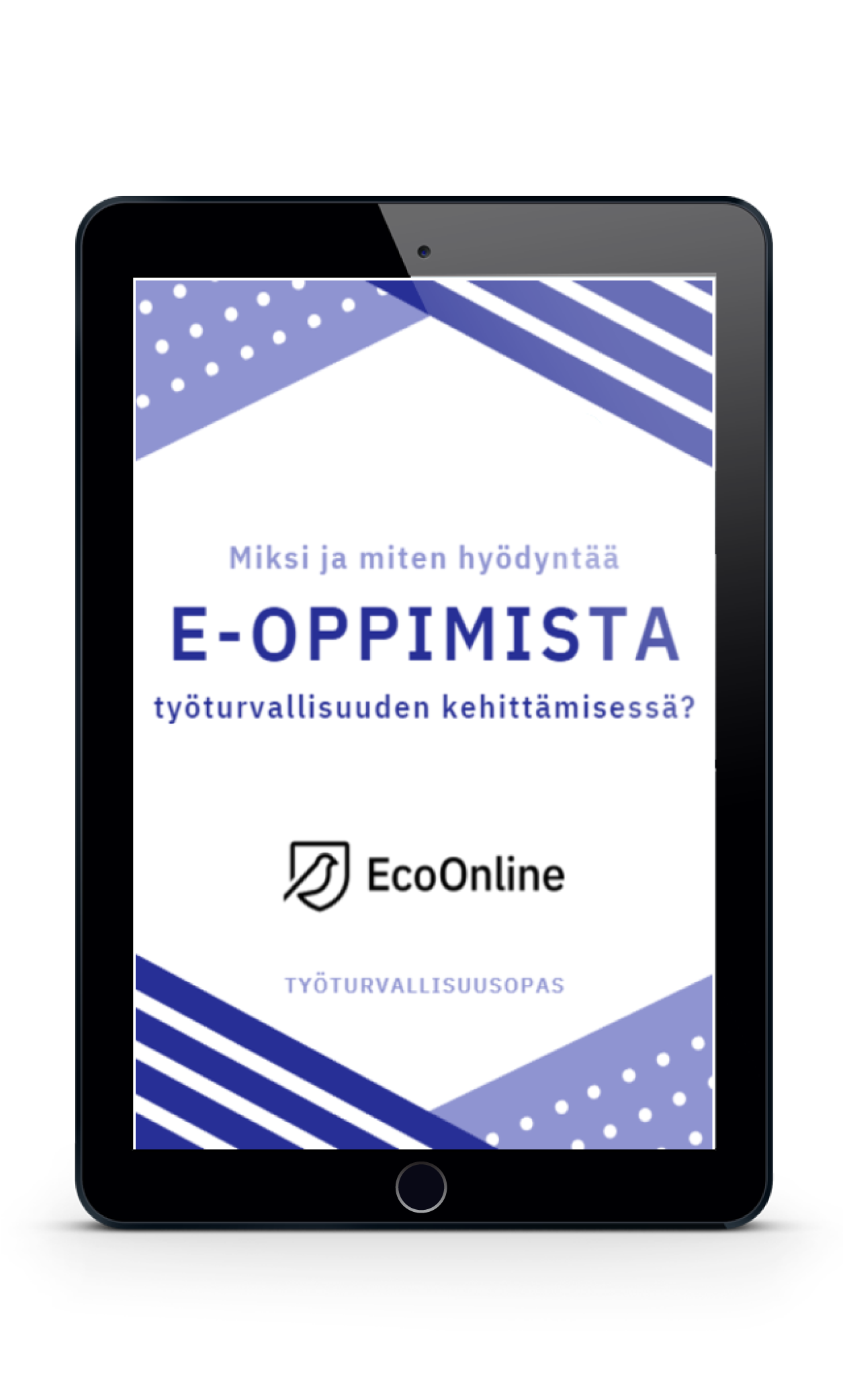 FI_Book Covers_E-oppimista