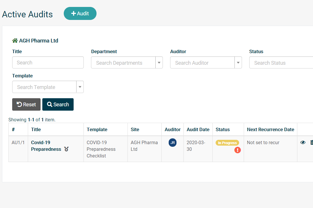 Computer screen showing all information available in the audit template