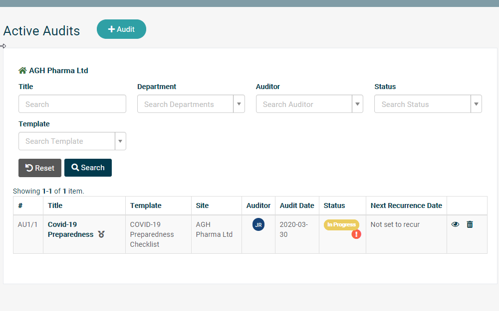 Computer screen showing all information available in the audits template
