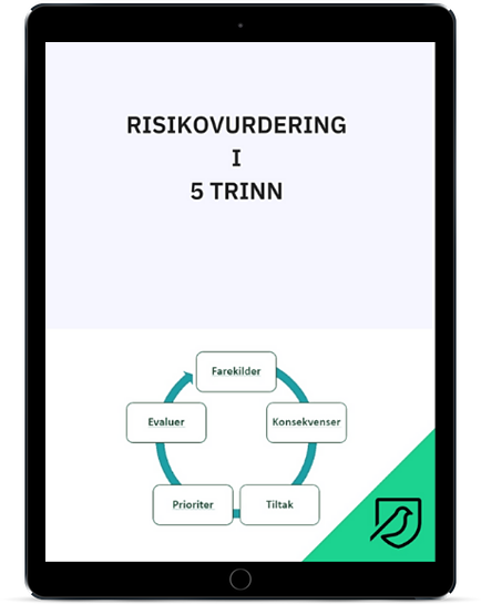 risikovurdering 5 trinn