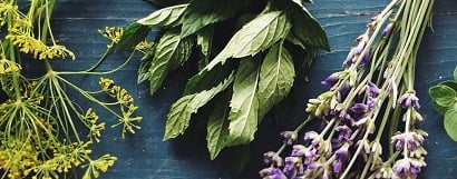 Dried botanicals on grey wooden background_listing_410x149