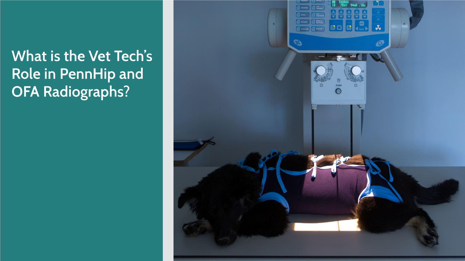 August2020_VTPBlog01_Header