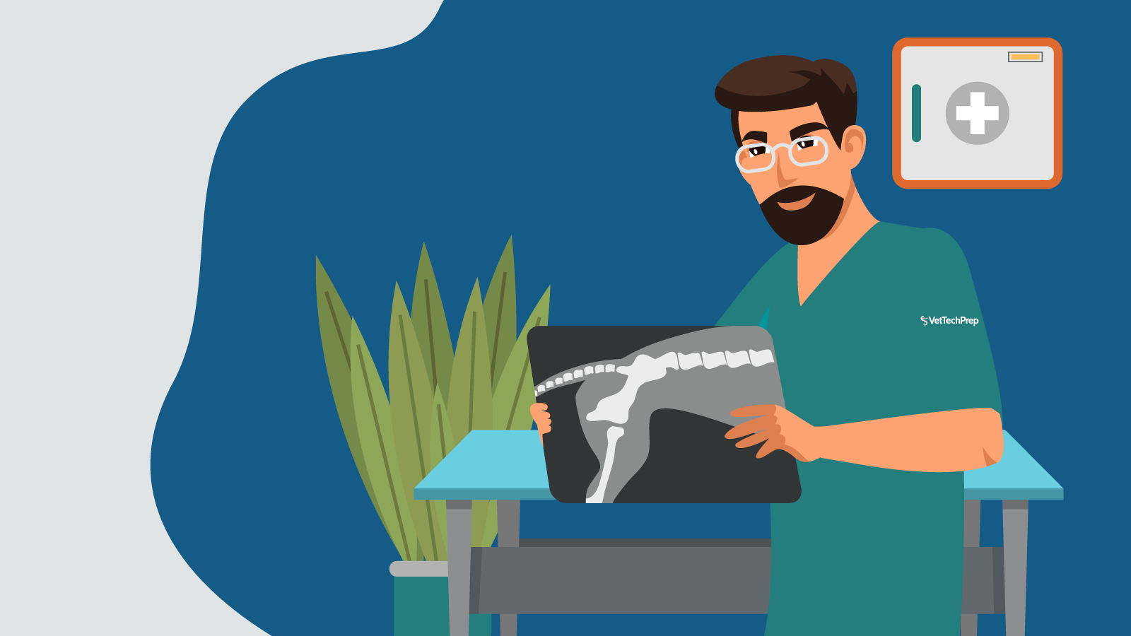 August2020_VTPBlog02_Header