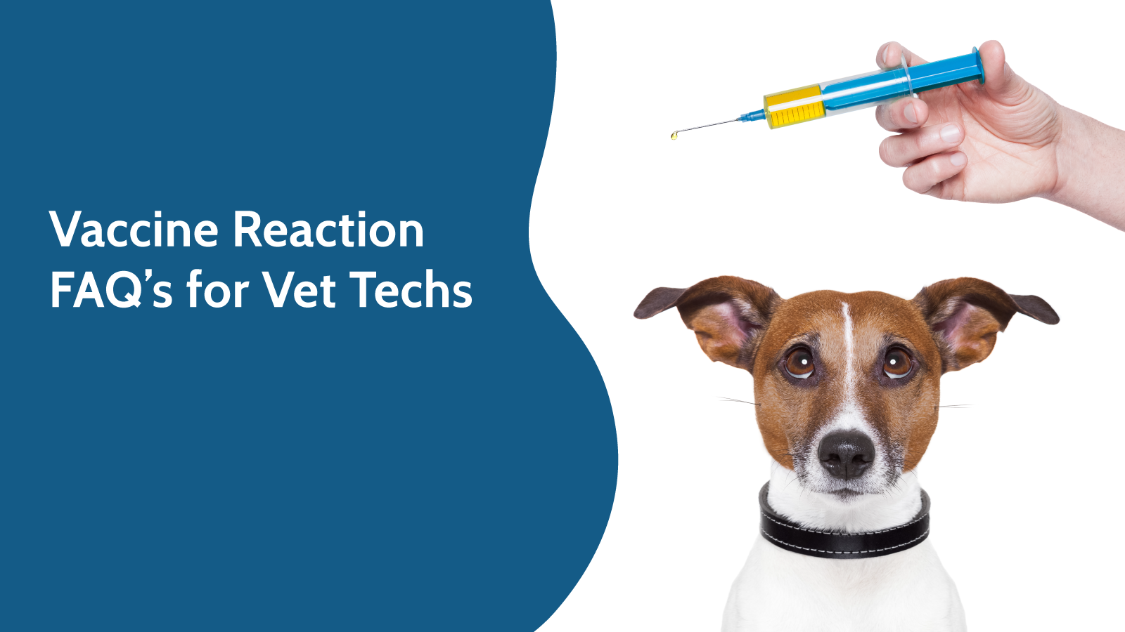 July2020_VTPBlog02_Header