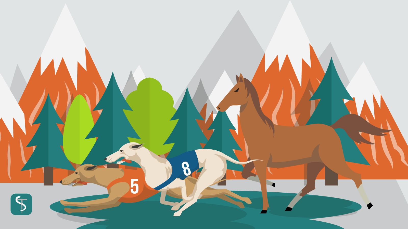 Oct2020_VTPBlog02_Header