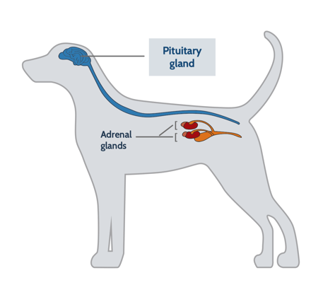 Screen Shot 2020-09-14 at 8.16.19 AM