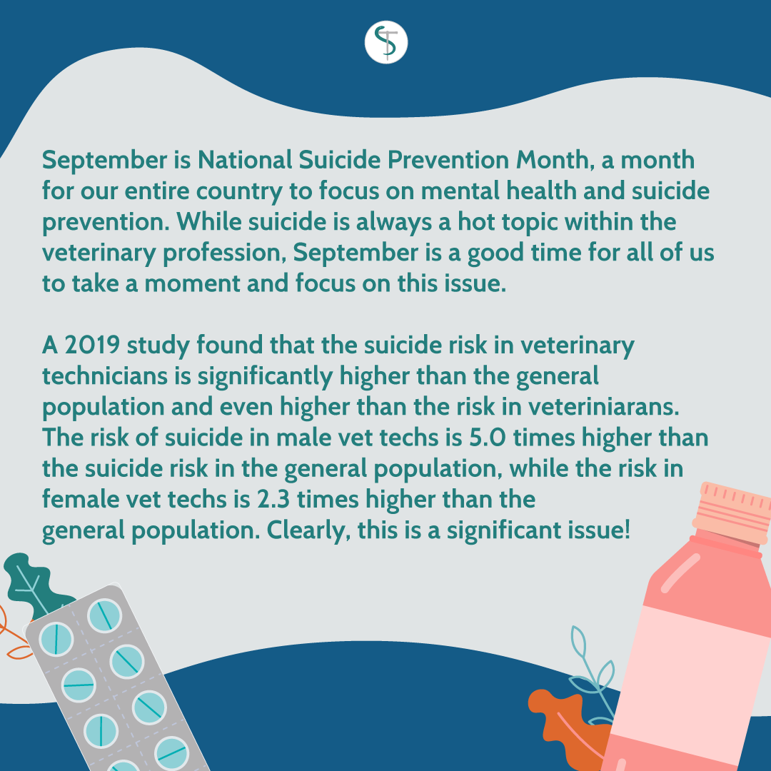 Sep2020_VTPBlog01_InstagramB