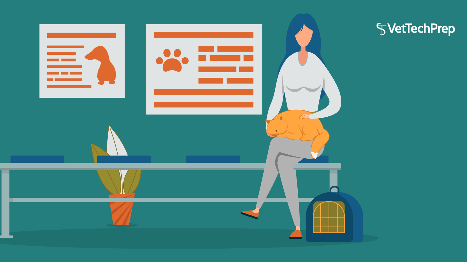 Sep2020_VTPBlog03_Header