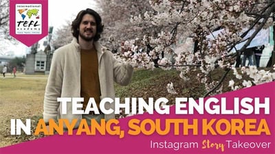 Day in the Life Teaching English in Anyang, South Korea with Judson Tomaiko