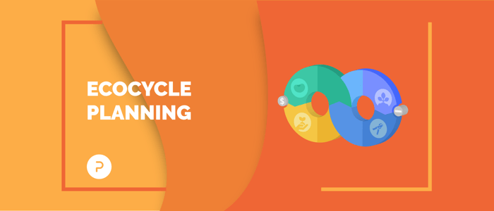 Cómo renovarse en la organización utilizando ecocycle planning