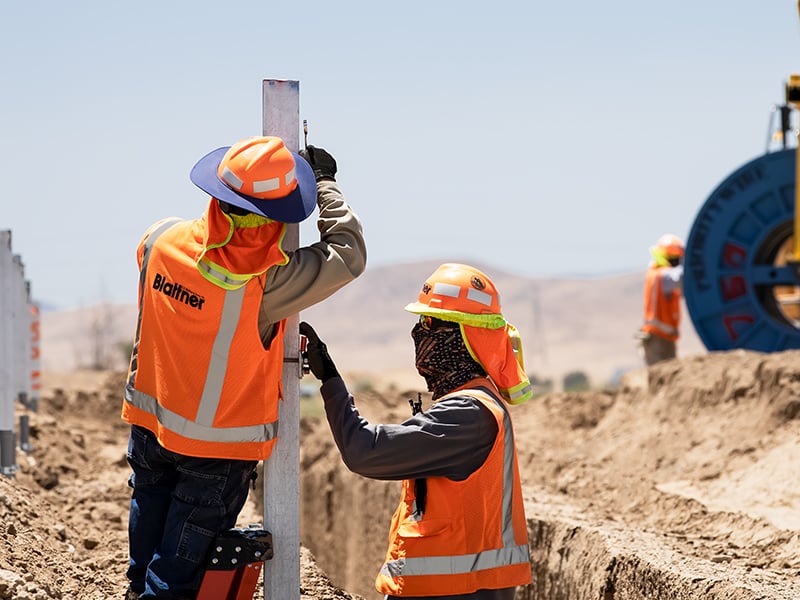 Interns working in the field