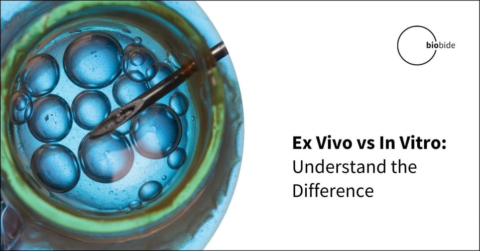 Ex Vivo vs In Vitro: Understand the Difference