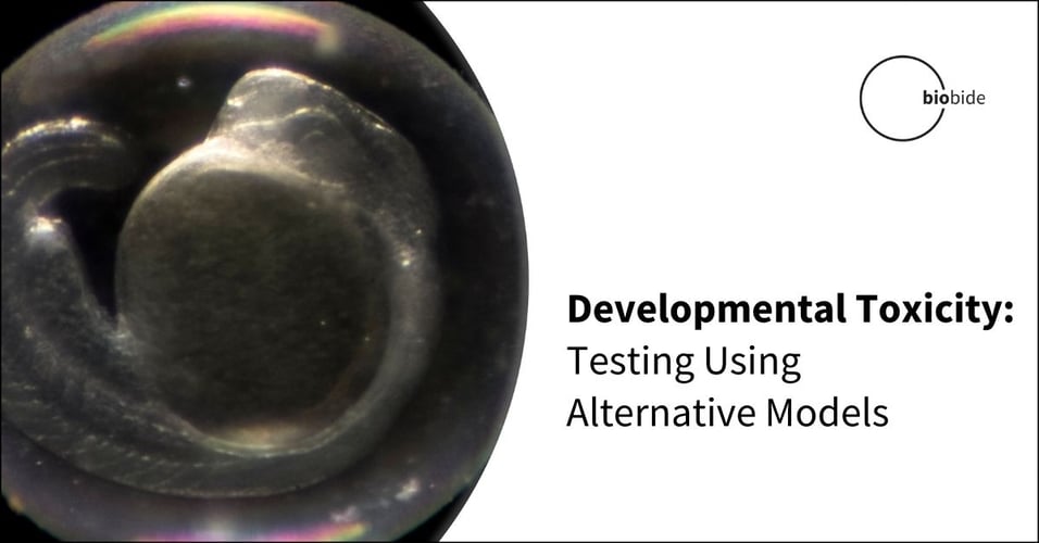 Developmental Toxicity: Testing Using Alternative Models