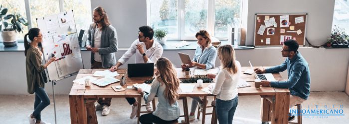 ¿Qué es el diplomado Pre Universitario de negocios del INDO?