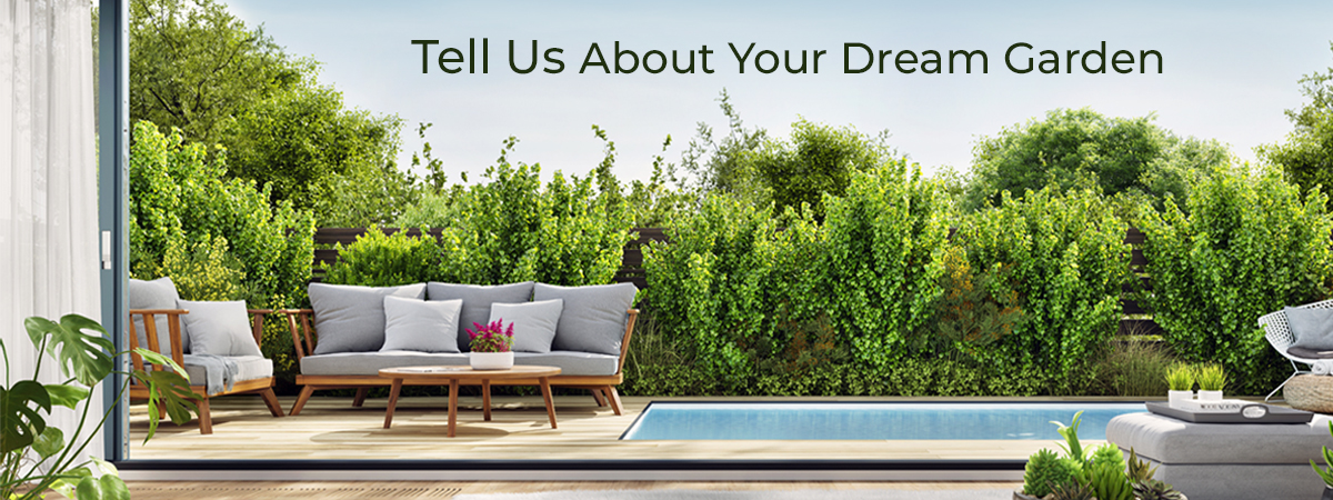 RQ_Tell-Us-About_You_Dream_Garden RQ_Tell-Us-About_You_Dream_Garden
