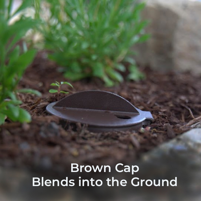 RQ_brown-cap RQ_brown-cap
